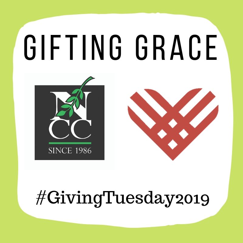Read more about the article Giving Tuesday Results